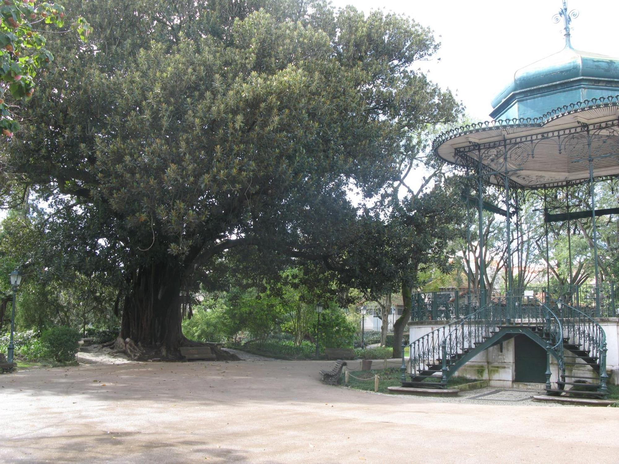 Appartement Lisbonne Estrela מראה חיצוני תמונה